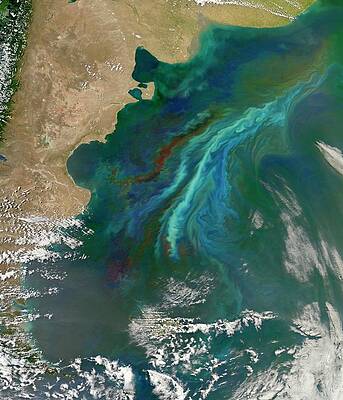 Wall Art - Photograph - Algal Bloom Off Argentinian Coast by Science Photo Library