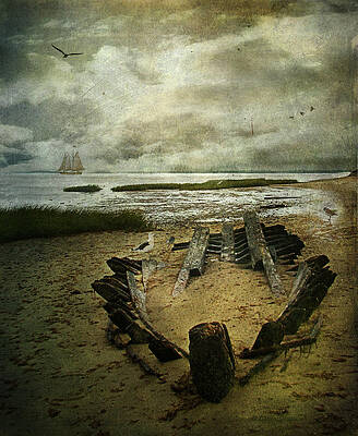 All That Remains by Lianne Schneider All That Remains by Lianne Schneider