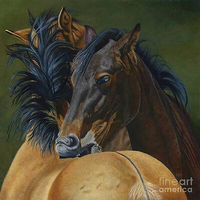 Almost Dun... by Rosellen Westerhoff Almost Dun... by Rosellen Westerhoff