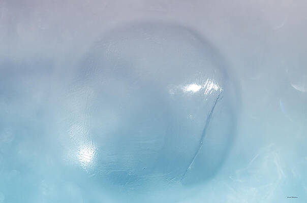 Wall Art featuring the photograph Almost Invisible Bubble by Crystal Wightman