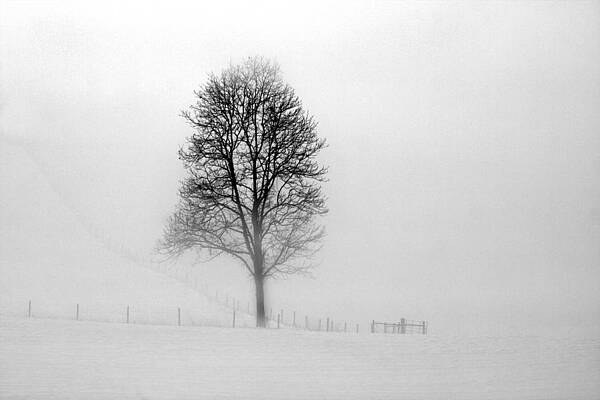 Alone by J Brett Whitesell