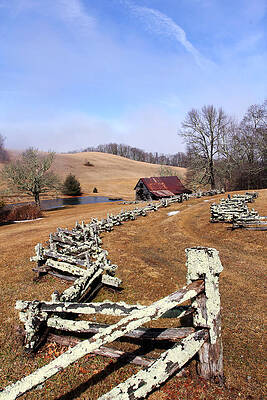 Wall Art - Photograph - Along the Locust Rails by Jennifer Robin