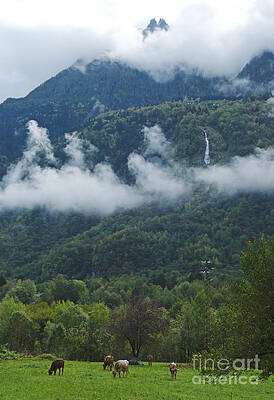 Wall Art - Photograph - Alpine Meadow - Chiavenna - Lombardy  by Phil Banks