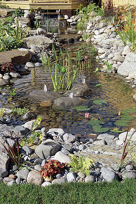 Wall Art - Photograph - Alpine Stream by Science Photo Library