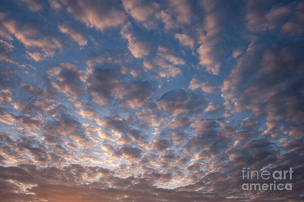 Wall Art - Photograph - Altocumulus Clouds by Jim Corwin