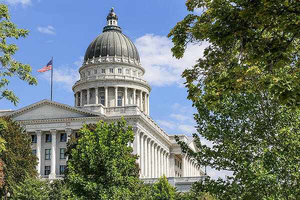 Wall Art featuring the photograph Amazing Architecture by Sue Leonard