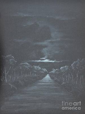 Wall Art - Drawing - Amazon Sunset by David Swope