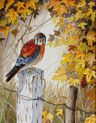 Watercolor Painting with Ronna: The American Kestrel - Portland