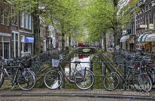 Amsterdam Bicycles by Timothy Hacker Amsterdam Bicycles by Timothy Hacker