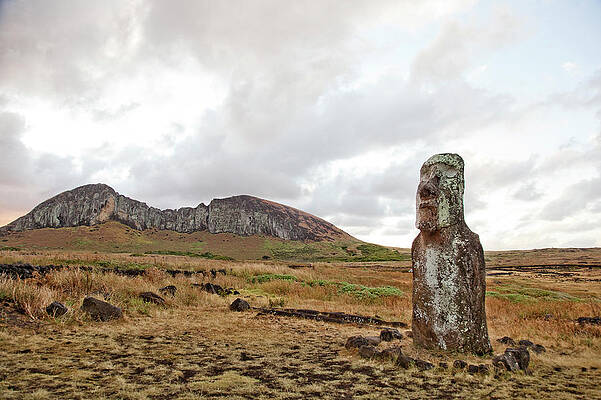 Wall Art - Photograph - An Ancient Stone Statue Of A Mans Face by David Hanson