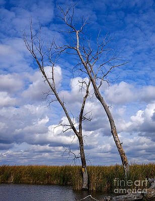 Marsh Photograph - An Autumn View Of Horicon Marsh by Natural Focal Point Photography