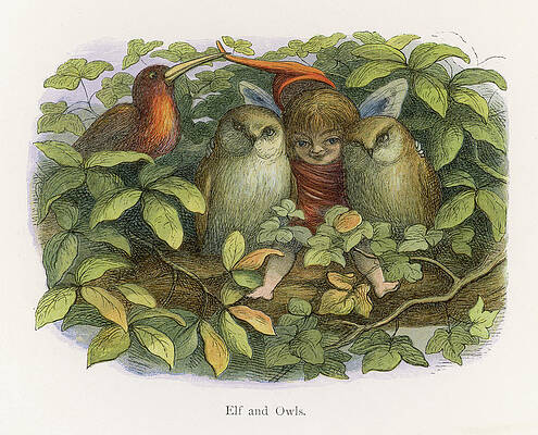 Wall Art - Drawing - An Elf Fraternises With Two Owls by Mary Evans Picture Library