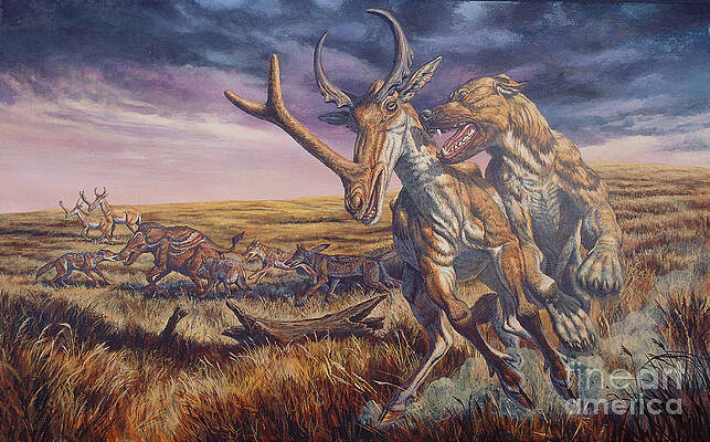 Wall Art - Digital Art - An Epicyon Attacks A Synthetoceras by Mark Hallett