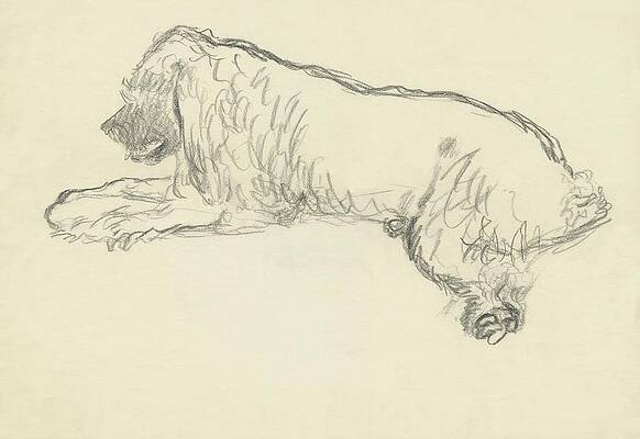 Wall Art - Digital Art - An Illustration Of A Dog by Carl Oscar August Erickson