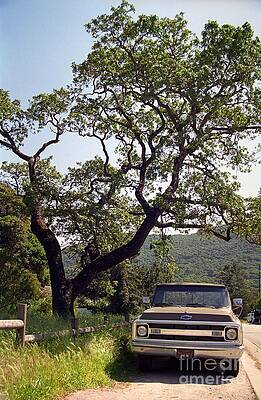 Wall Art - Photograph - An Oak Tree and a Chevy Pickup  by James B Toy