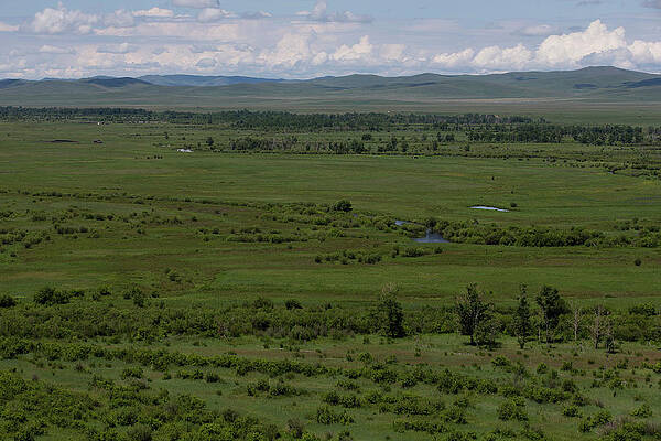 Wall Art - Photograph - An Overview Of The Plains In Remote by Krystle Wright
