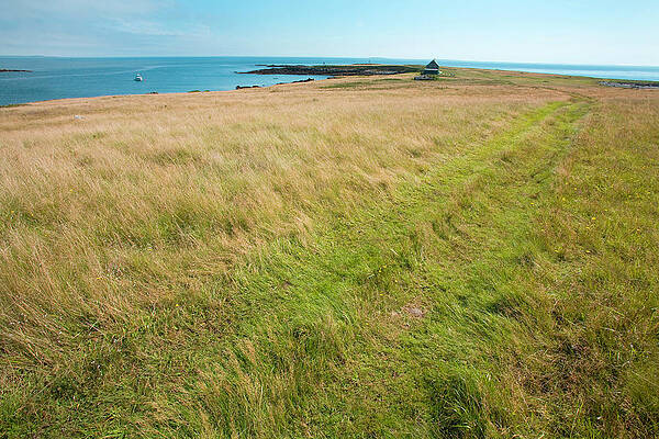 Wall Art - Photograph - An Road Through An Open Field Wends by Chris Pinchbeck