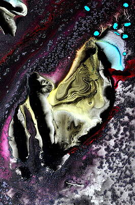 Ancient Evidence by Christine Ricker Brandt Ancient Evidence by Christine Ricker Brandt