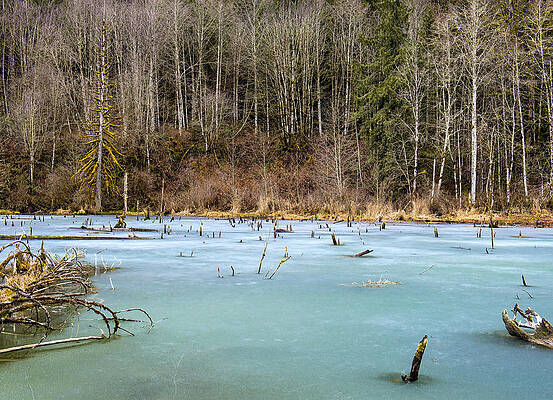 Anderson Creek Pond by Paul W Sharpe Aka Wizard of Wonders Anderson Creek Pond by Paul W Sharpe Aka Wizard of Wonders