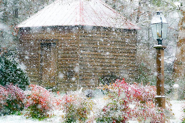Andrews Moore Christmas by Sue McGlothlin Andrews Moore Christmas by Sue McGlothlin