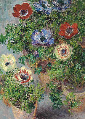 Anemones in Pot Print by Claude Monet