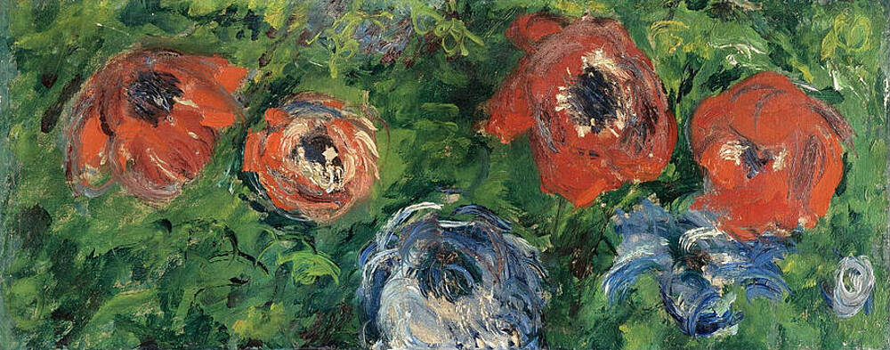 Anemonies Print by Claude Monet