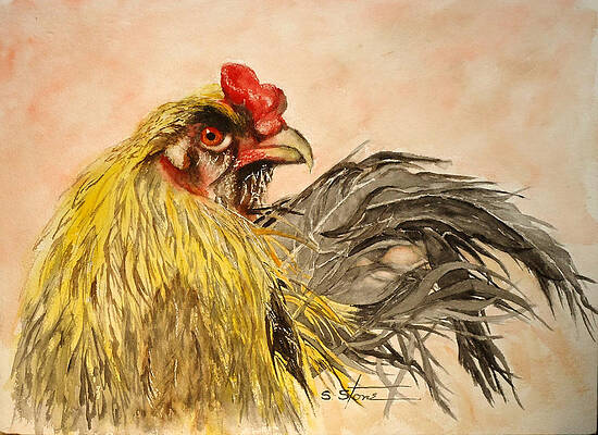 Angry Rooster by Sandra Stone Angry Rooster by Sandra Stone
