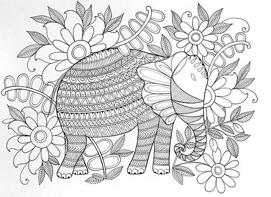 Wall Art - Drawing - Animal Elephant 6 by MGL Meiklejohn Graphics Licensing