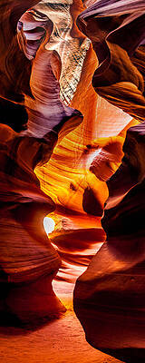 Wall Art - Photograph - Exit Strategy  by Az Jackson