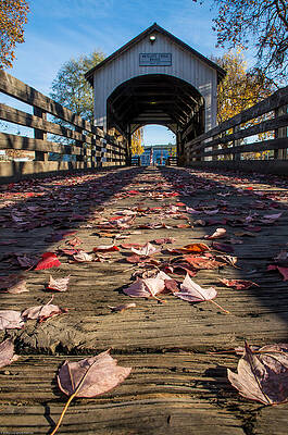 Antelope Creek Bridge by Mick Anderson
