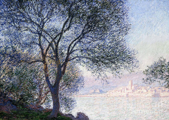 Wall Art - Painting - Antibes seen from the Salis by Claude Monet