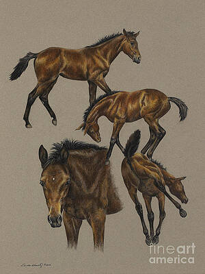 Antics by Linda Shantz Antics by Linda Shantz