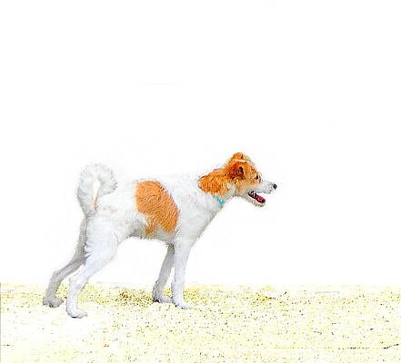 Anyone seen Dave ? by Dave Hrusecky