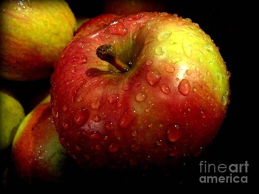 Apple in the Rain by Miriam Danar