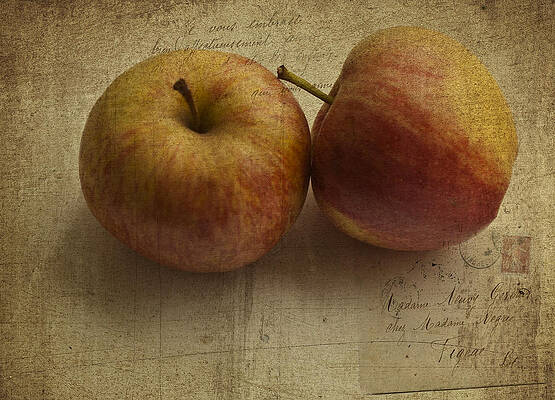 Natural Wall Art featuring the photograph Two Apples by Georgia Clare