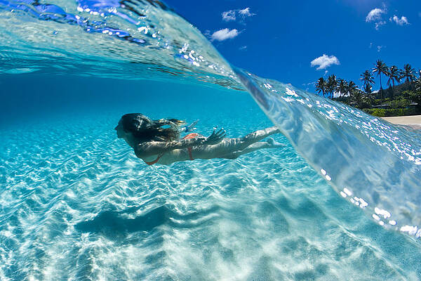 Wall Art - Photograph - Aqua Dive by Sean Davey