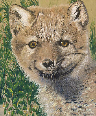 SOLD Arctic Fox by Nancy Parsons SOLD Arctic Fox by Nancy Parsons