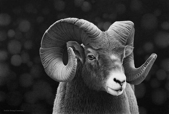 Aries by Stirring Images Aries by Stirring Images