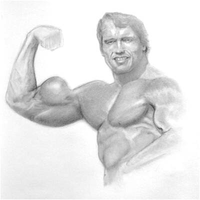 Wall Art - Drawing - Arnold Schwarzenegger by Chris Vanellis