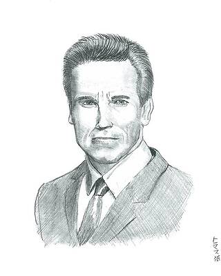 Wall Art - Drawing - Arnold Schwarzenegger by Thomas Elliott