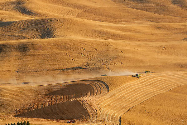 Wall Art - Photograph - As Far As The Eye Can See by Mary Jo Allen
