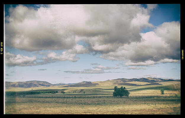 Wall Art - Photograph - As If There Weren't a Care In the World by Laurie Search