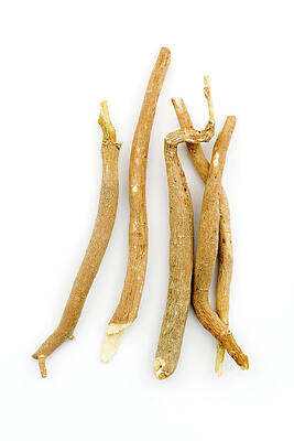 Wall Art - Photograph - Ashwagandha Root (withania Somnifera) by Science Photo Library