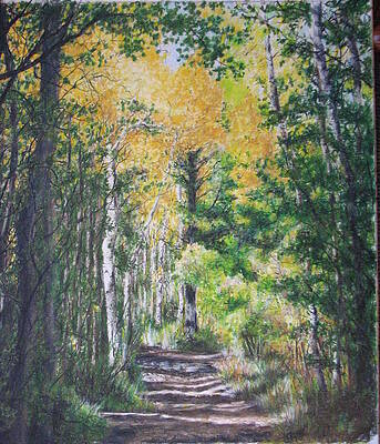 Wall Art - Drawing - Aspen Path by Kenny King