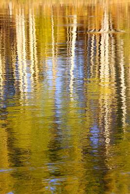 Aspen Reflection by Kevin Desrosiers Aspen Reflection by Kevin Desrosiers