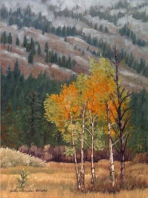 Aspens in the Tetons by Peter Muzyka Aspens in the Tetons by Peter Muzyka