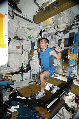 Wall Art - Photograph - Astronaut Exercising On The Iss by Science Photo Library