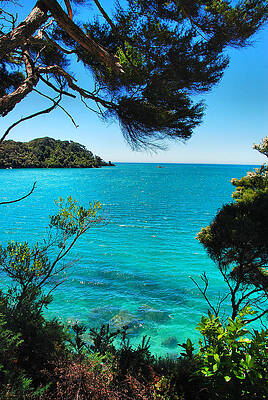 At Abel Tasman National Park by Andrei SKY At Abel Tasman National Park by Andrei SKY