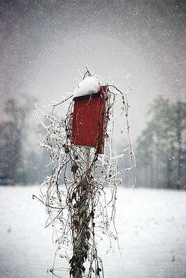 At Home In The Snow by Beverly Stapleton At Home In The Snow by Beverly Stapleton