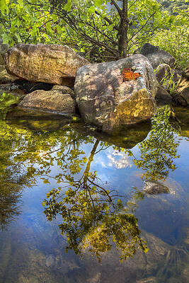 Wall Art - Photograph - At the River by Debra and Dave Vanderlaan
